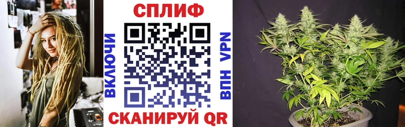 Шишки марихуана планчик площадка формула Карталы МЕГА сайт